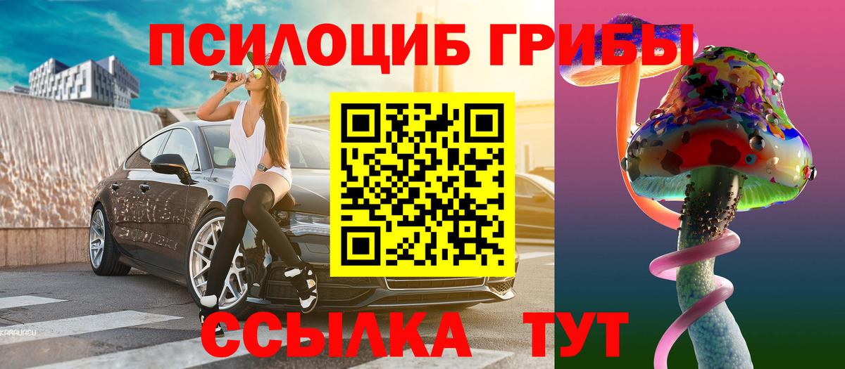 купить наркотик  Галлюциногенные грибы Psilocybine cubensis  Вход с VPN  Ачхой-Мартан 
