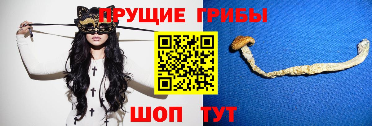 Галлюциногенные грибы GOLDEN TEACHER Ачхой-Мартан